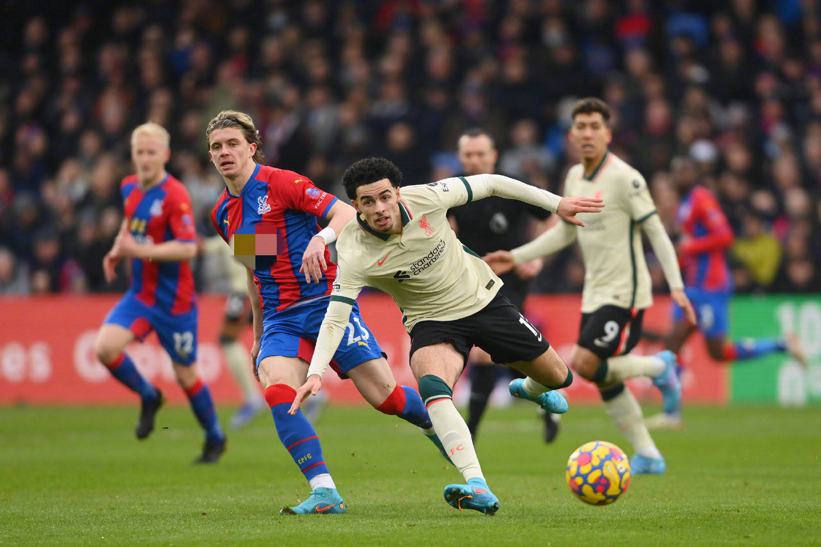 足了观众的 足了观众的